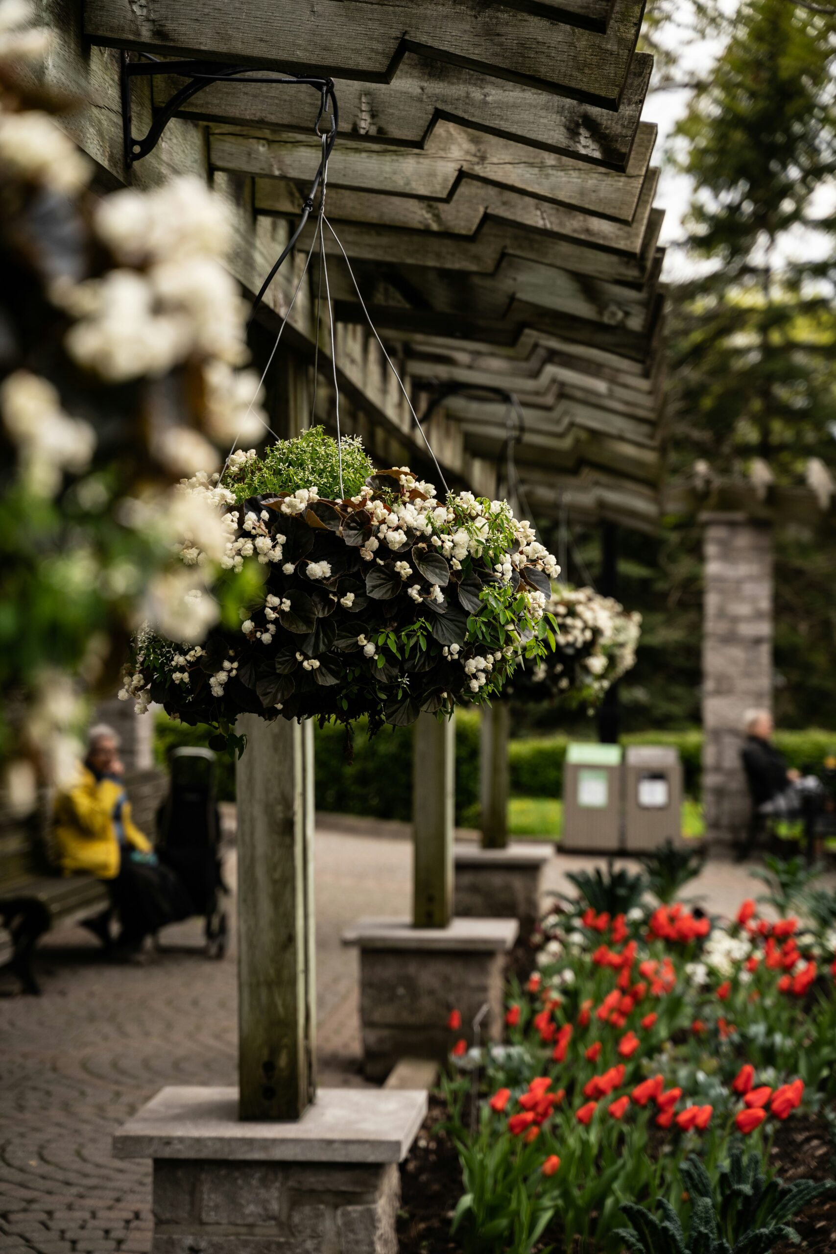 thomas-lardeau-K4lQmccM-xY-unsplash
